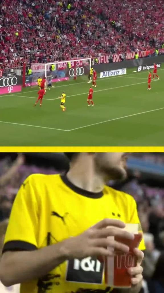 勇者無(wú)懼！這是真多特球迷！在拜仁球迷區(qū)一個(gè)人肆意慶祝！